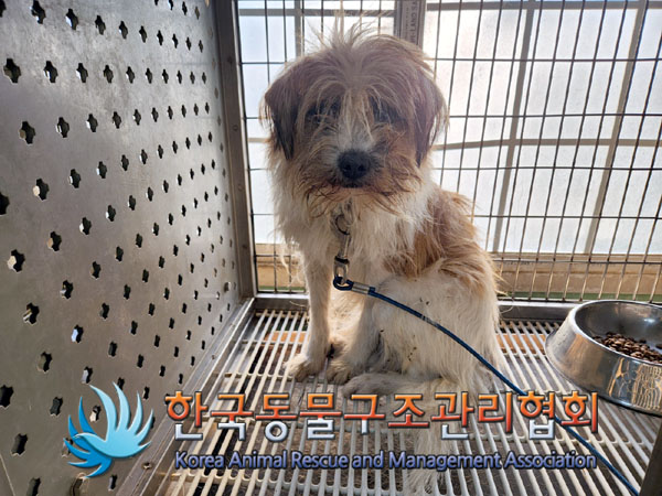 한국동물구조관리협회_441559202301236
